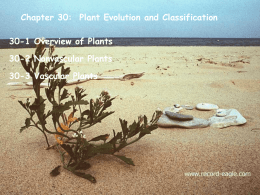Chapter 30-Plant Evolution and Classification