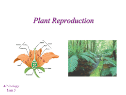 Plant Reproduction - mvhs