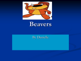 Beavers - Mrs Prescott