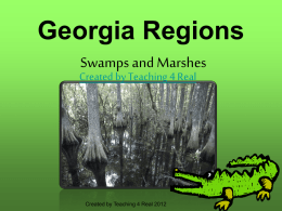 Swamps & Marshes