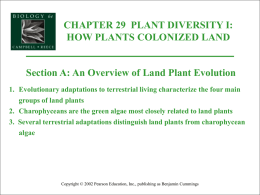 Plant Diversity 1: The Colonization of Land