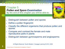 Notes: Pollen & Spore Examination, C.5 PP