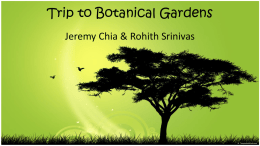 Trip to Botanical Gardens
