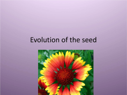 Seed - DavisonScience