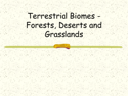 Biome Project PowerPoint