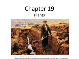 Chapter 19 PowerPoint
