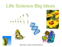 Life Science Big Ideas