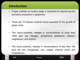 RLO Nutrient Management in Grape Nursery