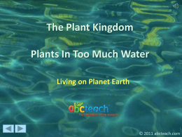 The Plant Kingdom Plants In Too Much Water