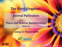Plant and Animal Relationships Plants and their