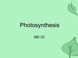 Photosynthesis - World of Teaching