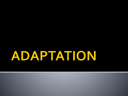 adaptation - Cloudfront.net