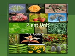 Plant notes - BiologyGerlach