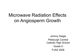 Microwave Radiation Effects on Angiosperm Growth