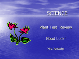 Plant test review 2014.ed