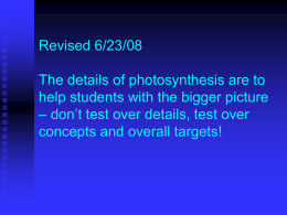 photosynthesis - coachpbiology