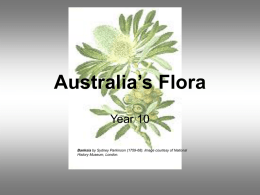 Australia`s Flora