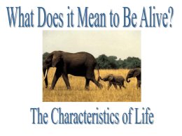 Characteristics of Life PowerPoint