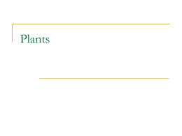 Plants - cypresswoodsbiology