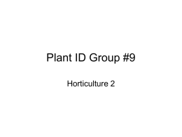 Plant ID Group #9