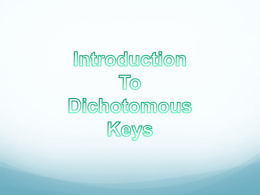 Dichotomous Key Notes
