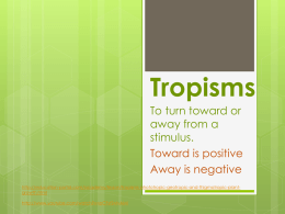 Tropism Notes