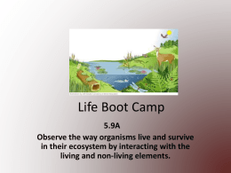 Life Boot Camp Review