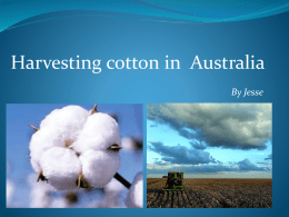 harvesting-cotton-in-australia-Jesse