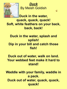 Duck in the water, quack, quack, quack!