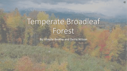 Temperate Broadleaf Forest
