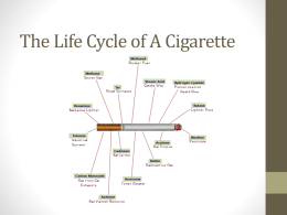 The Life Cycle of A Cigarette