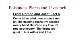 Chapter 13: Poisonous Plants