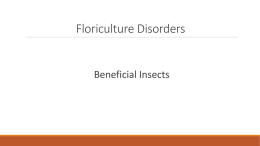 Floriculture Disorders