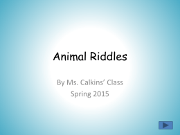 Ms. Calkins` Animal Riddles