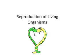 Reproduction of Living Organisms