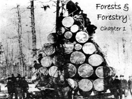 Forestry