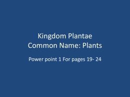 Kingdom Plantae Common Name: Plants
