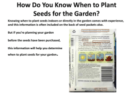 How Do You Know When to Plant Seeds for the Garden?