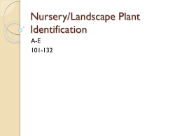Nursery/Landscape Plant Identification