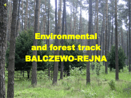 Balczewo - YPEF Young People in European Forests