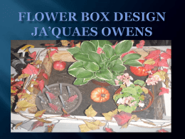 Flower Box Design
