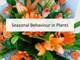 Seasonal Behaviour in Plants