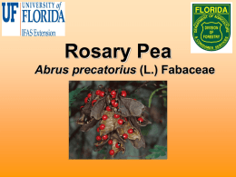 Powerpoint format  - Center for Aquatic and Invasive Plants