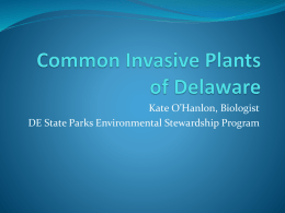 Common Delaware Invasive Species