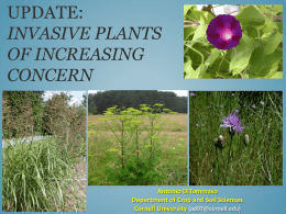Update: Invasive Plants of Increasing Concern