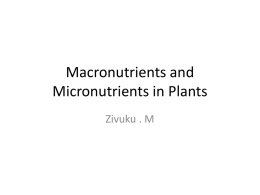 6.9 Macronutrients and Micronutrients in Plants