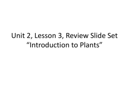 Unit 2, Lesson 3, Review Slide Set *Introduction to Plants