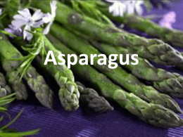 asparagusx