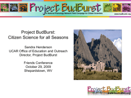 Project Bud Burst - Friends of Brazoria Wildlife Refuges