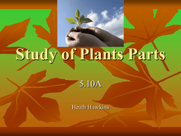 Plant Parts.pp - ScienceWilmeth5
